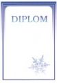 Diplom - zima